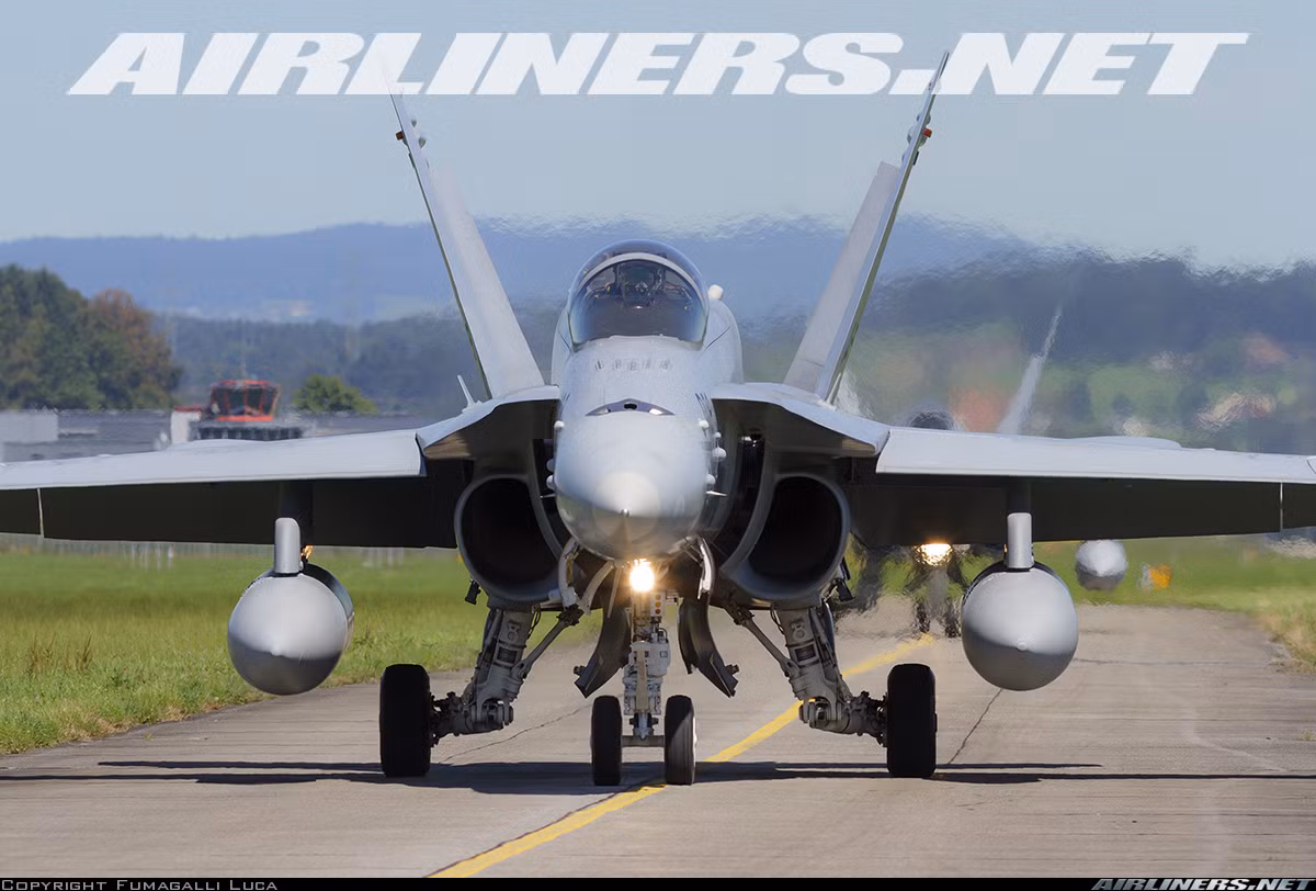 F/A-18 Hornet là máy bay chiến đấu đa nhiệm siêu thanh hai động cơ có khả năng hoạt động trên tàu sân bay trong mọi thời tiết, có khả năng chiến đấu trên cả ba mặt trận. Khoảng 1.480 chiếc F/A-18 Hornet đã được chế tạo với đơn giá một chiếc khoảng 30-50 triệu USD. Nó được trang bị cho Hải quân Mỹ, Không quân Mỹ và Thủy quân Lục chiến Mỹ. Ngoài ra, còn được xuất khẩu cho một số quốc gia đồng minh ở châu Âu.