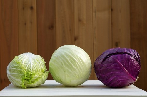 Bắp cải Theo nghiên cứu thì những người ăn bắp cải thường xuyên sẽ giảm hẳn nguy cơ mắc các loại ung thư, đặc biệt là ung thư ruột kết. Bắp cải chứa bioflavonoids cùng các hợp chất thực vật khác có thể ức chế sự phát triển khối u và bảo vệ tế bào khỏi các gốc tự do.