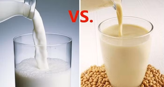 Chuyen gia giai dap nen uong sua bo hay sua dau nanh vao buoi sang