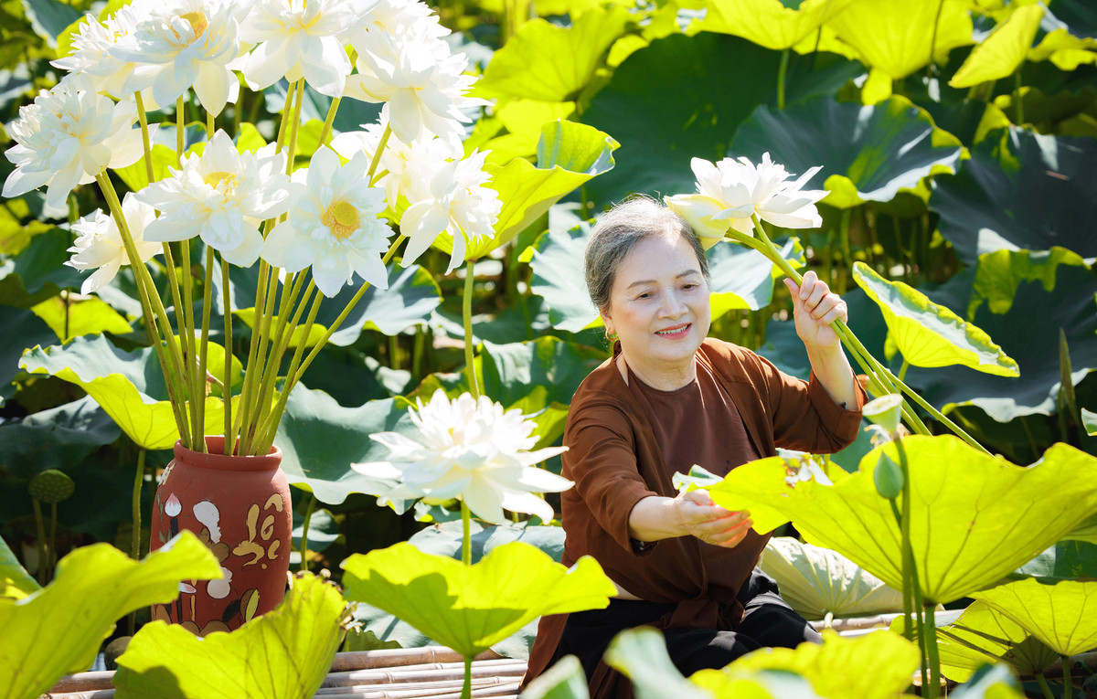 Cụ bà U80 chụp ảnh cùng hoa sen khiến dân mạng trầm trồ - Hình 3 Cu ba U80 chup anh cung hoa sen khien dan mang tram tro-Hinh-3