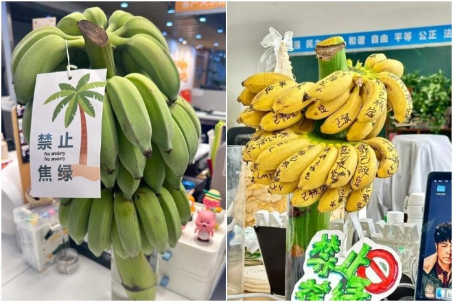 Chang trai o Trung Quoc ban chuoi xanh kiem 7 ty moi thang