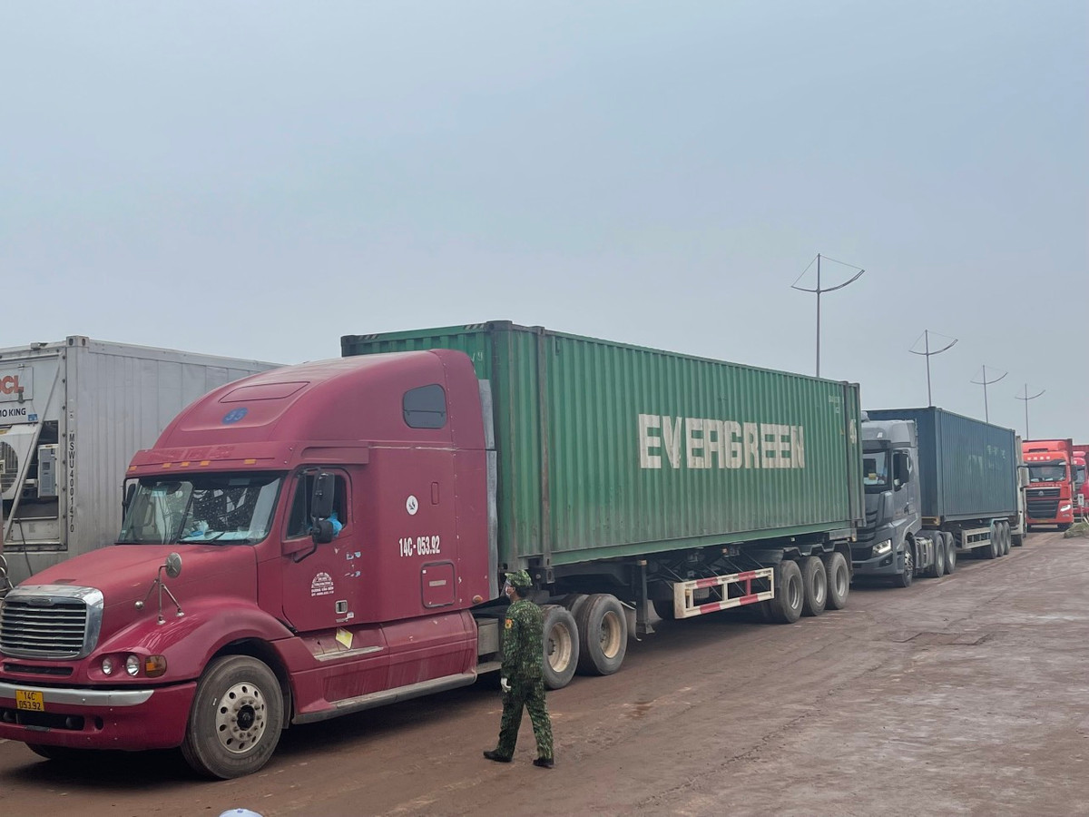 Mo lai cua khau Mong Cai: Moi ngay co hon 200 luot thong quan-Hinh-2