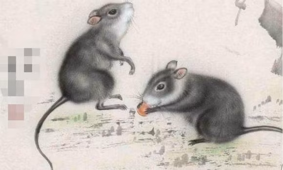 Tháng 5/2022, trong đời ít gặp xui xẻo. 