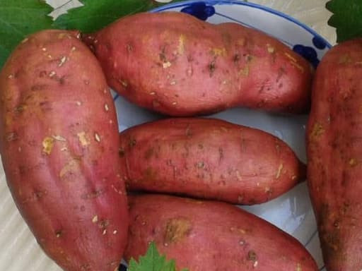 4 loạit thực phẩm ăn hàng ngày giúp phòng ngừa ung thư 4 loait thuc pham an hang ngay giup phong ngua ung thu