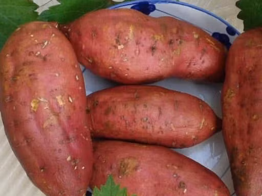 4 loait thuc pham an hang ngay giup phong ngua ung thu