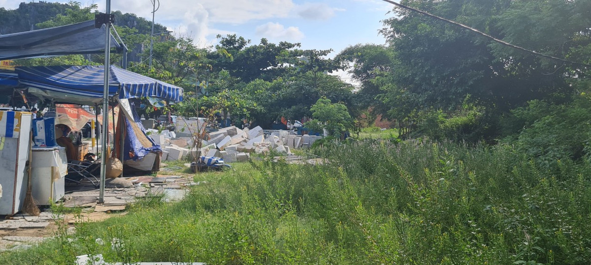 Cây dại mọc um tùm phía sau những lều bạt căng tạm.