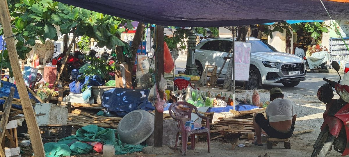 "Xóm nhà lá" tưởng chỉ có trên phim, nay hiện ra ngay cạnh khu danh thắng nổi tiếng.