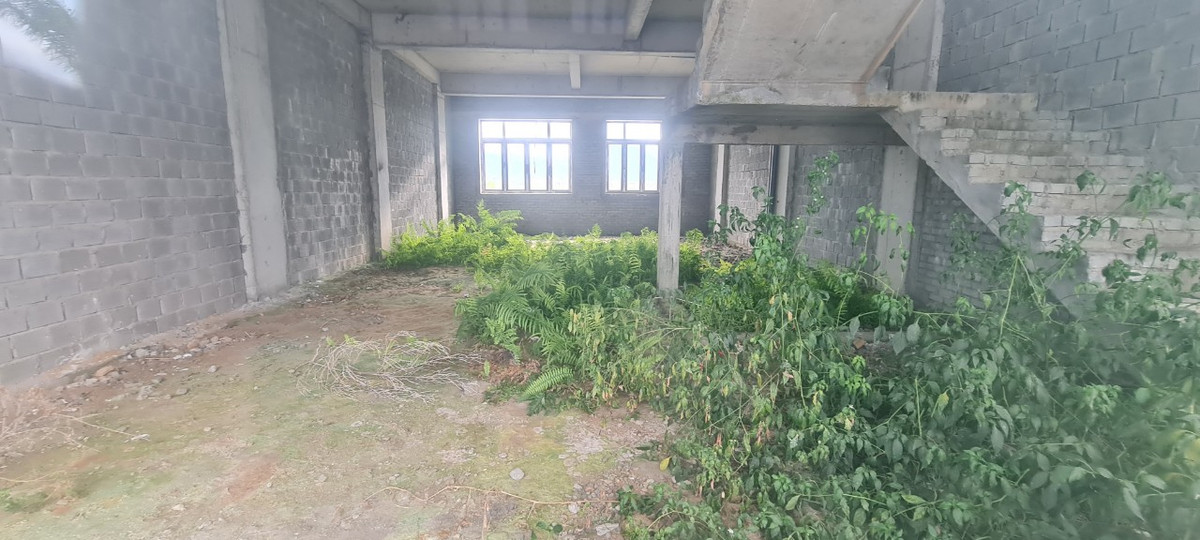 Cỏ dại tràn ngập trong các căn shophouse tiền tỷ.