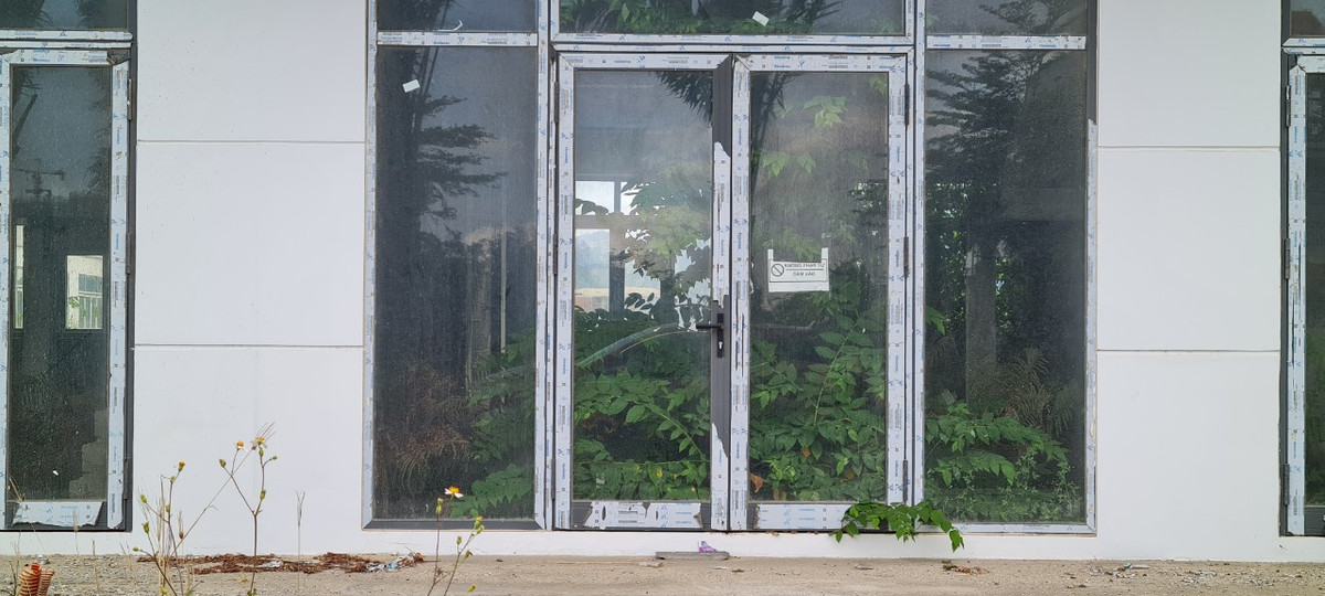 Cây dại cao quá đầu người, bò từ sàn tới trần, rồi thò từ trong ra ngoài....