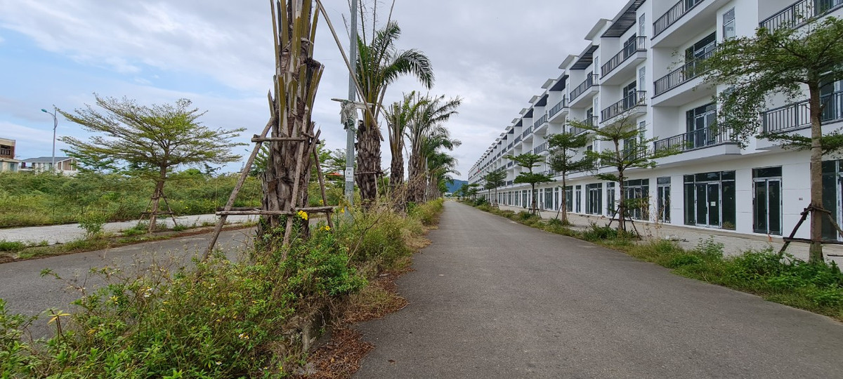 Cỏ tràn ngập trên những con đường vắng người qua lại.