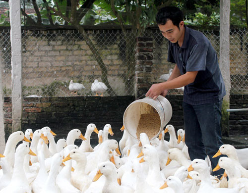 Nong dan thu tien ty/nam thanh trieu phu o lang