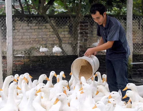 Nong dan thu tien ty/nam thanh trieu phu o lang