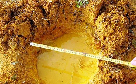 Nghe An 6 con voi rung keo ve quay pha vuon nha dan-Hinh-2