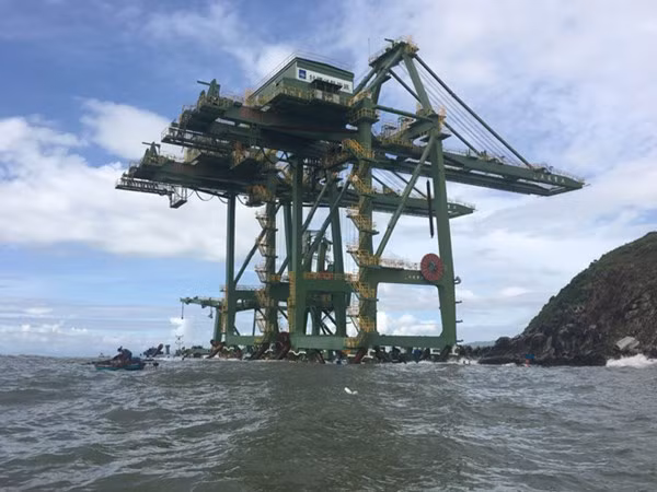 Ba dàn cẩu “khủng” bị mắc cạn nhìn từ xa