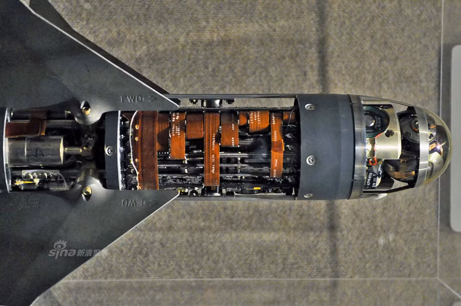 Còn đây là đầu dò trên phiên bản AIM-9R được Hải quân Mỹ trang bị từ năm 1987, sử dụng công nghệ đầu dòng hồng ngoại tích hợp thiết bị tích điện kép (CCD - Charge Coupled Device). Nó có nhiệm vụ biến đổi quang năng của ánh sáng tới thành các tín hiệu điện nhờ các photodiode và các vi mạch điện bên cạnh các photodiode đó, được cấu tạo từ các tinh thể silicon, tương tự như bộ xử lý trung tâm (CPU) của máy tính.