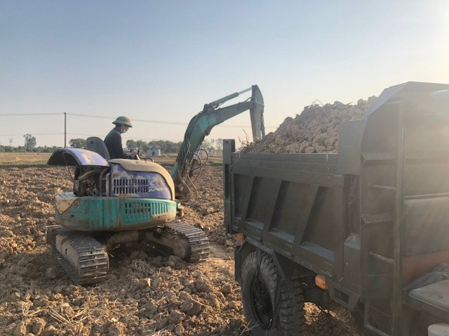 Hải Dương: Người dân thuê máy xúc khai thác đất ruộng trái phép về bán Hai Duong: Nguoi dan thue may xuc khai thac dat ruong trai phep ve ban