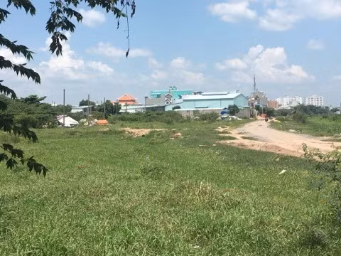 Nghi van 'Pho chu tich phuong' len lut chon xac heo