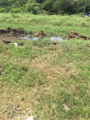 Nghi van 'Pho chu tich phuong' len lut chon xac heo-Hinh-2