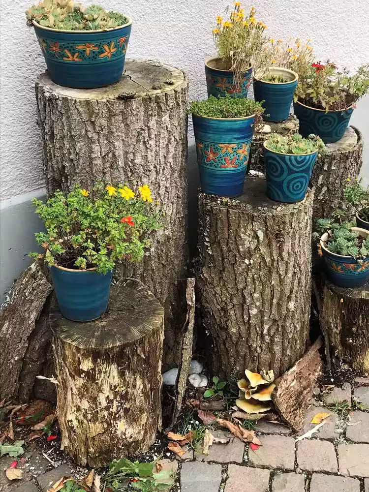 Nếu bạn có nhiều thân cây trong sân, hãy sử dụng chúng để trưng bày những chậu cây yêu thích của bạn. Những thân cây này có chiều dài khác nhau và được xếp chồng theo chiều dọc để tạo thành giá đỡ hoàn hảo cho những chậu cây nhỏ.