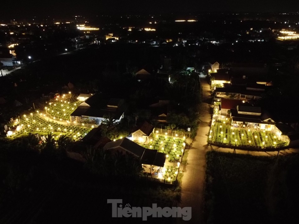 Đến với thủ phủ trồng hoa cúc thời điểm này vào ban đêm, nhiều người không khỏi thích thú trước khung cảnh lung linh, rực sáng với hàng nghìn ngọn đèn điện cùng lúc được thắp sáng trên những ruộng hoa…