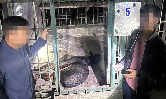 Quảng Bình: Bắt giữ nhóm đối tượng vận chuyển động vật hoang dã Quang Binh: Bat giu nhom doi tuong van chuyen dong vat hoang da