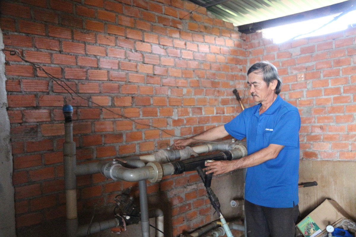 “Lão nông” tỷ phú trồng cà phê năng suất 5 tấn/ha, cả làng bái phục - Hình 3 “Lao nong” ty phu trong ca phe nang suat 5 tan/ha, ca lang bai phuc-Hinh-3