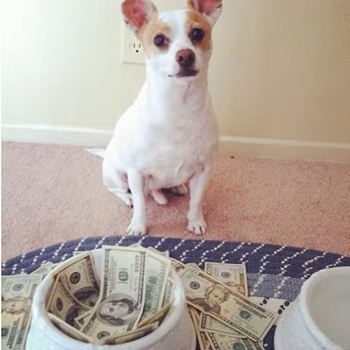 Tiền với mình chỉ là chuyện nhỏ nhé!