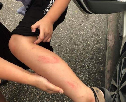 Nhung tai tieng mang thuong hieu thay co giao nong ray o Viet Nam-Hinh-2