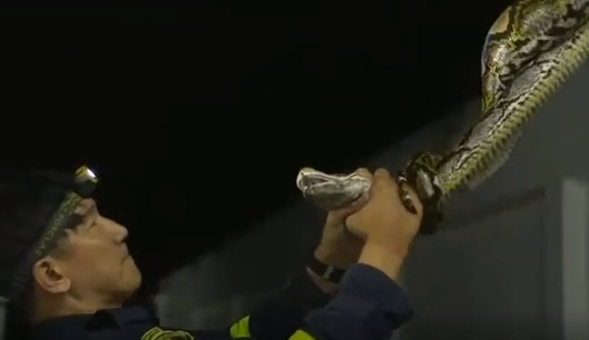 Rung minh linh cuu hoa khuat phuc tran khong lo bang tay khong