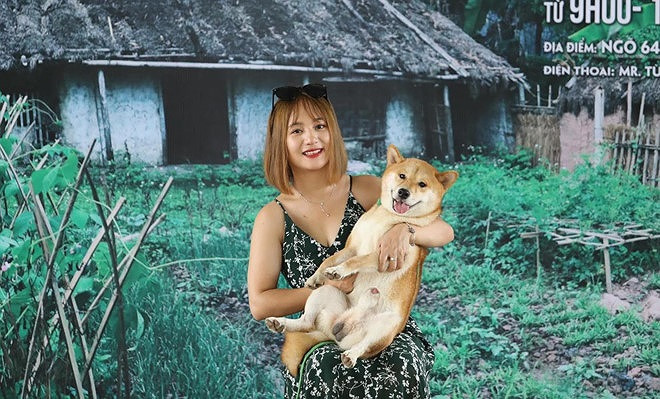 Nhà sản xuất tác phẩm " Cậu Vàng" vừa công bố "diễn viên" trúng tuyển là một chú chó Shiba Inu - giống chó có nguồn gốc từ Nhật Bản, điều này gây tranh cãi lớn. Nhiều người cho rằng người cho rằng ngoài bộ lông màu vàng, giống chó Shiba Inu không có bất kỳ điểm nào liên quan đến hình tượng cậu Vàng trong nguyên tác văn học.