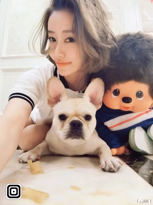 Thậm chí, nhiều người còn kỳ vọng cô sẽ theo đuổi con đường điện ảnh và gây được tiếng vang như các đàn chị cùng trường như Chương Tử Di, Lưu Thi Thi...