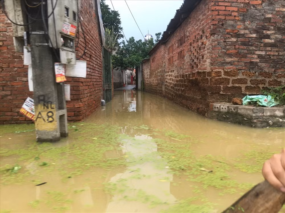 Nước ngập từ nhà ra ngõ