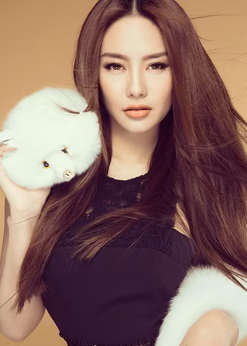 Với lùm xùm là người thứ ba, Linh Chi bị cư dân mạng ném đá, chỉ trích không thương tiếc. (Ảnh: FBNV)