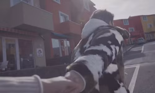 “Noi nay co anh” xat muoi vao long hoi F.A ngay Valentine-Hinh-3