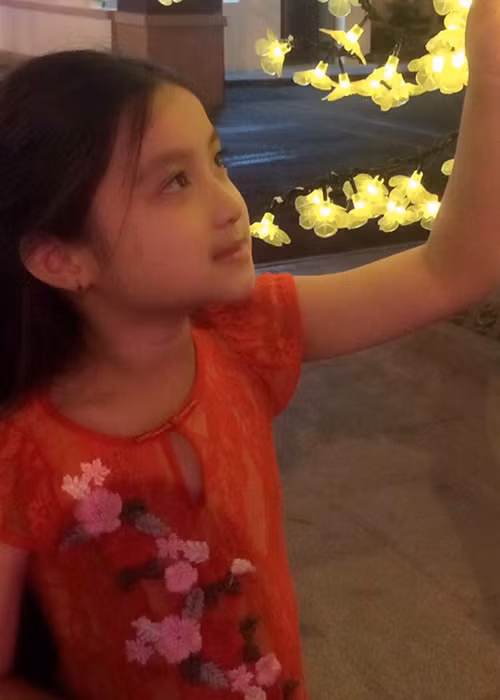 Sau ồn ào với Phi Thanh Vân, mới đây, Bảo Duy bất ngờ xóa sạch những lời tố cáo vợ cũ. Trên trang cá nhân, anh chỉ chia sẻ hình ảnh các con. (Ảnh: FBNV)