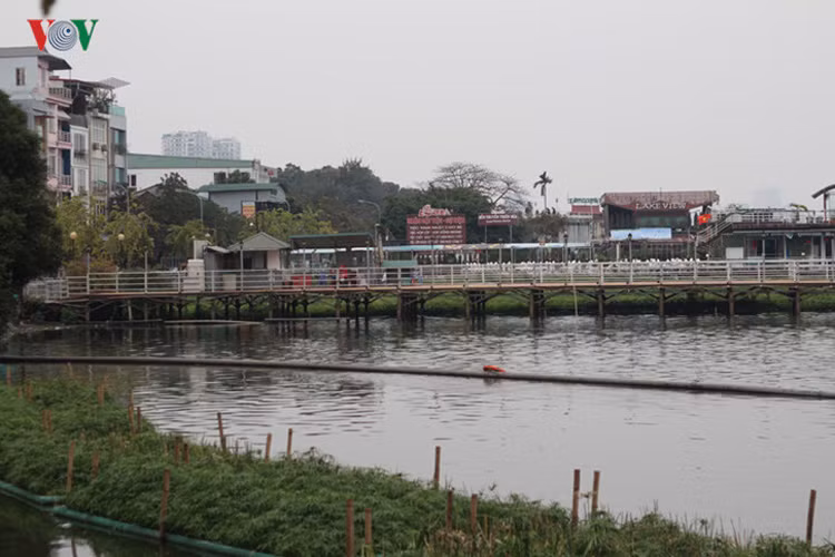 Nước ô nhiễm là một phần nguyên nhân khiến hàng tấn cá Hồ Tây chết vừa qua.