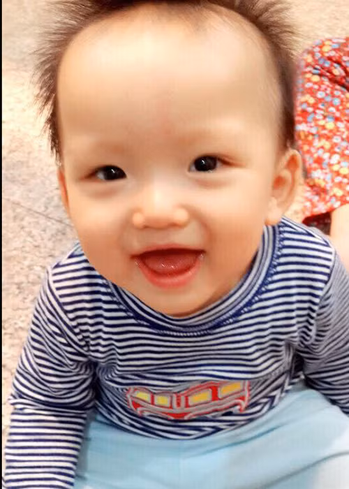 Trước khi bé Tấn Đức chào đời, Phi Thanh Vân gặp khó khăn trong việc có con. Vì vậy, cậu nhóc chính là niềm ao ước, mong đợi của cô bao lâu nay. (Ảnh: Facebook nhân vật)