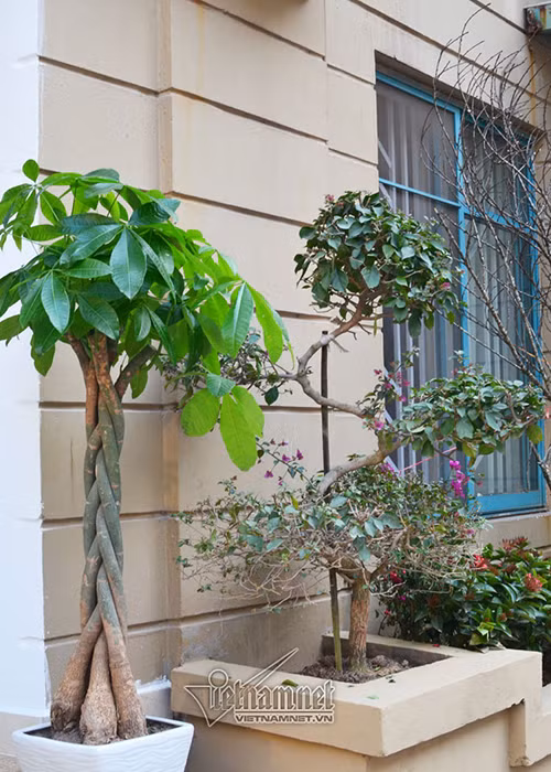 Tuy nhiên, do có duyên cũng như chịu khó đi diễn, Quang "Tèo" đã tích góp được số tiền khá lớn. Anh dành toàn bộ gần 6 tỷ đồng để mua căn hộ và khoảng 1 tỷ nữa để sửa sang lại theo ý mình. 