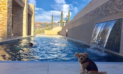 Cuoc song xa hoa cua 2 sao Viet tung bi don lay vo vi... tien-Hinh-10