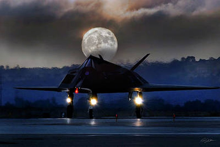 Các khoang vũ khí riêng biệt bên trong F-117 có thể mang 2.300 kg vũ khí. Các vũ khí thường được trang bị là một cặp GBU-10, GBU-12, hay bom dẫn đường laser GBU-27, hai bom phá hầm ngầm BLU-109.