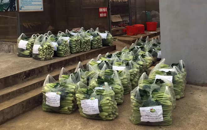 Nguoi dan ong Lai Chau gui 2 tan rau ung ho nguoi dan khu cach ly Ha Noi