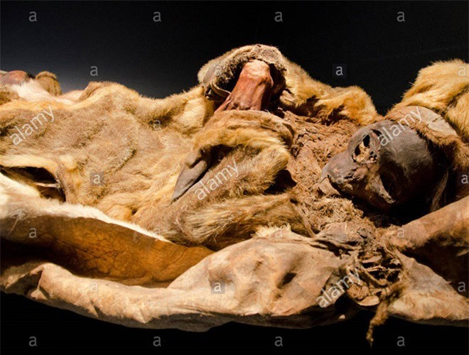 Ám ảnh ánh mắt của xác ướp bé trai 6 tháng tuổi bị chôn sống theo mẹ - Hình 12 Am anh anh mat cua xac uop be trai 6 thang tuoi bi chon song theo me-Hinh-12