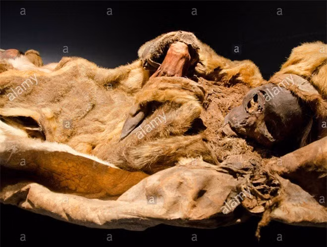 Am anh anh mat cua xac uop be trai 6 thang tuoi bi chon song theo me-Hinh-12