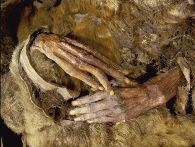 Ám ảnh ánh mắt của xác ướp bé trai 6 tháng tuổi bị chôn sống theo mẹ - Hình 16 Am anh anh mat cua xac uop be trai 6 thang tuoi bi chon song theo me-Hinh-16