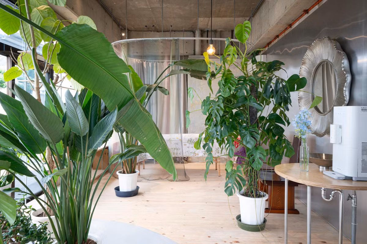 Chiem nguong 10 xu the thiet ke noi that pho bien nhat nam 2021-Hinh-4