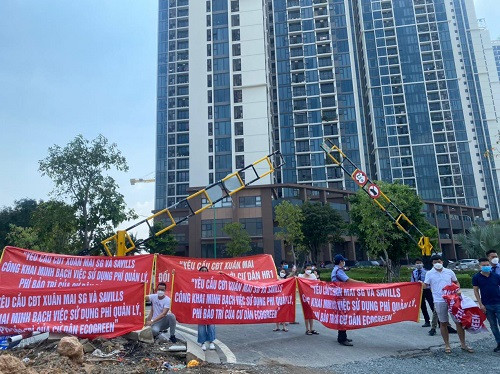 Lum xum cat nuoc, cu dan Eco Green Saigon khieu nai chu dau tu-Hinh-2