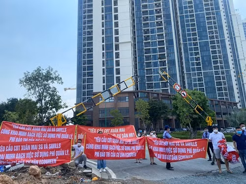 Lum xum cat nuoc, cu dan Eco Green Saigon khieu nai chu dau tu-Hinh-2