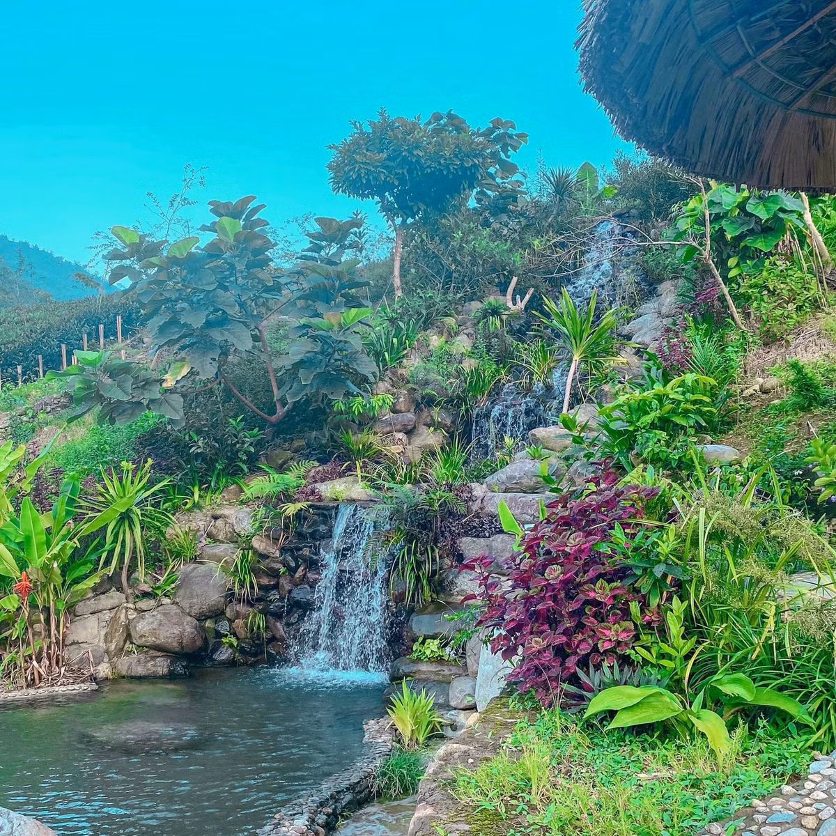 Suoi Kem - diem tranh nong ly tuong o Thai Nguyen-Hinh-14