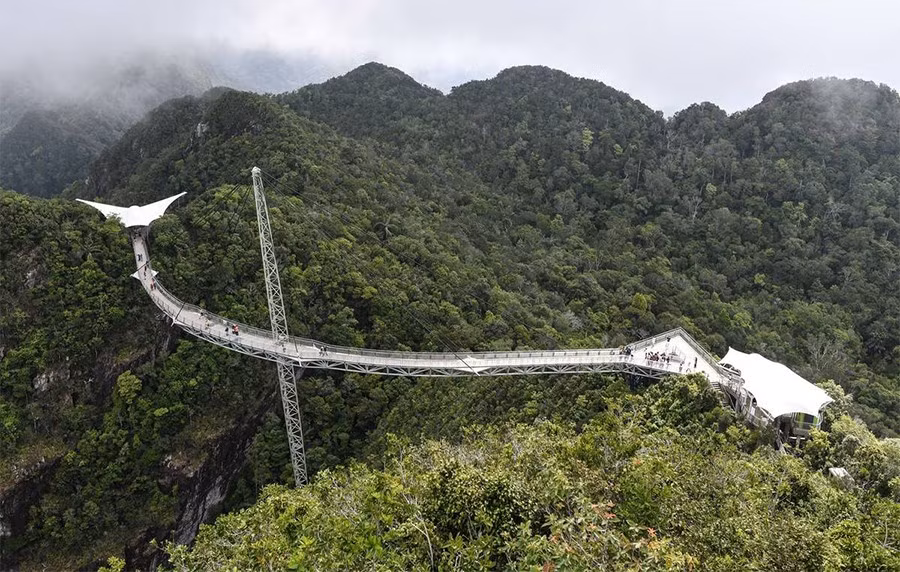 10 cay cau doc la nhat the gioi-Hinh-7