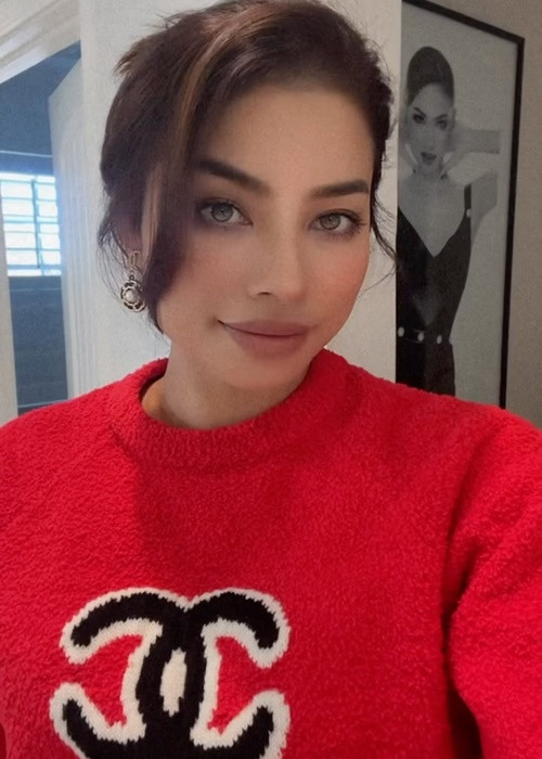  Hoa hậu Phạm Hương hoạt động trong showbiz Việt nhiều năm trước khi sang Mỹ sinh sống.